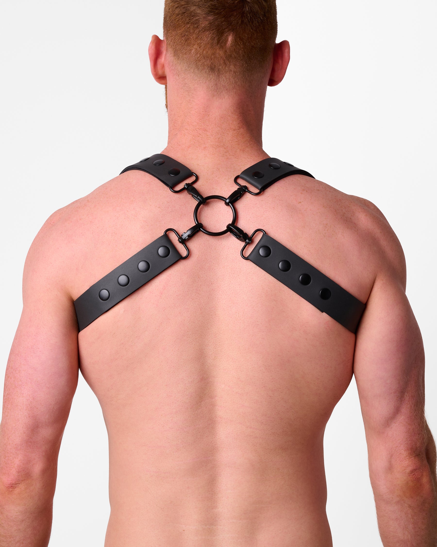 Scorpion Infinity Harness